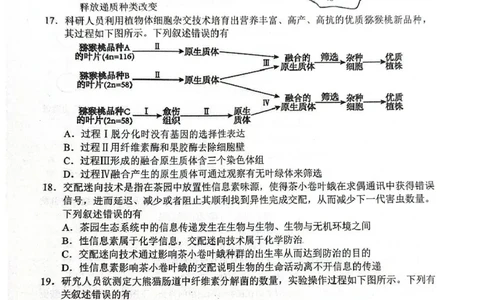江苏省盐城市东台市2024-2025学年高二下学期期末考试生物试卷_2025年6月_250625江苏盐城市2024-2025学年高二下学期期末考试（全科）