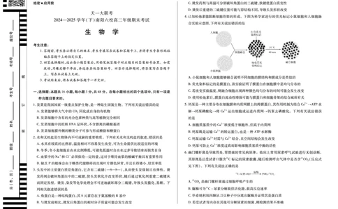 (8K,4页)生物南阳六校高二下期末单色_2025年7月_250703天一大联考&middot;河南省2024-2025学年（下）南阳六校高二年级期末考试（全科）