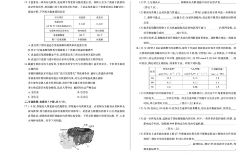 (8K,4页)生物南阳六校高二下期末单色_2025年7月_250703天一大联考&middot;河南省2024-2025学年（下）南阳六校高二年级期末考试（全科）