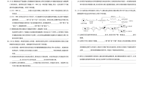 (8K,4页)生物南阳六校高二下期末单色_2025年7月_250703天一大联考&middot;河南省2024-2025学年（下）南阳六校高二年级期末考试（全科）