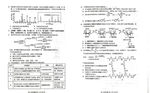 山东省威海市2024-2025学年高二下学期期末考试化学试题_2025年7月_250721山东省威海市2024-2025学年高二下学期期末考试（全科）