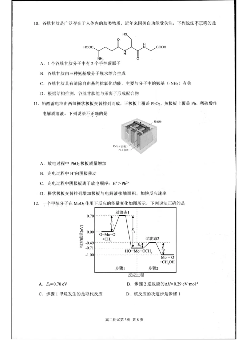 浙江省杭州市2024-2025学年高二下学期6月期末教学质量检测化学试题（含答案）_2025年6月_250625浙江杭州市2024-2025学年高二下学期6月期末考试教学质量检测（全科）
