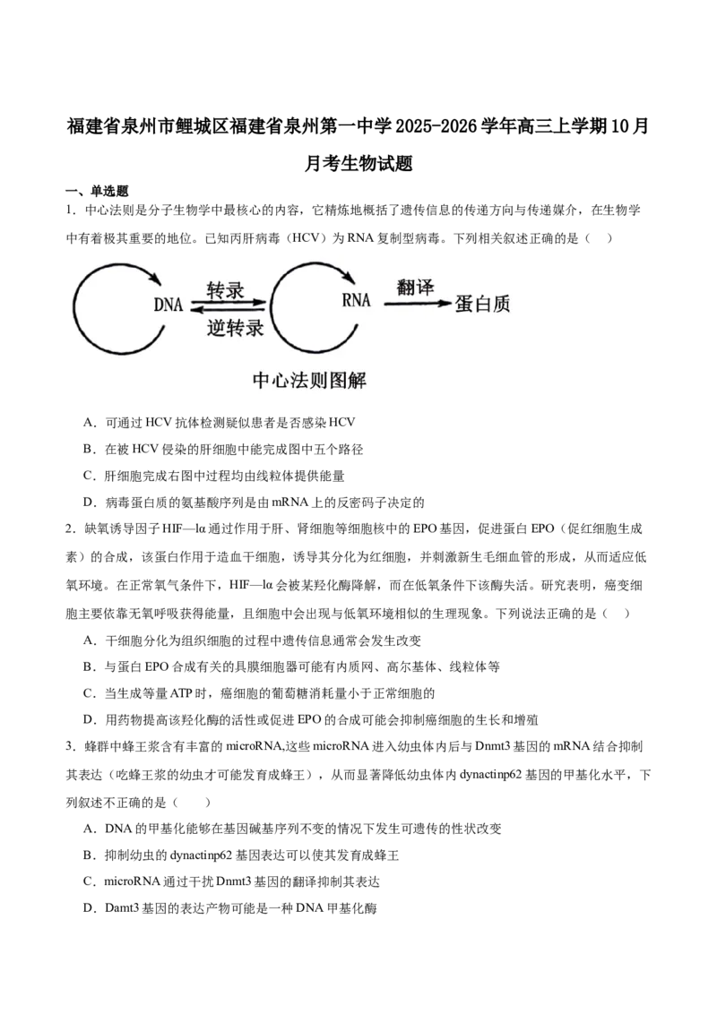 福建省泉州第一中学2026届高三上学期10月第二次月考生物试卷（含答案）_251106福建省泉州第一中学2026届高三上学期10月第二次月考