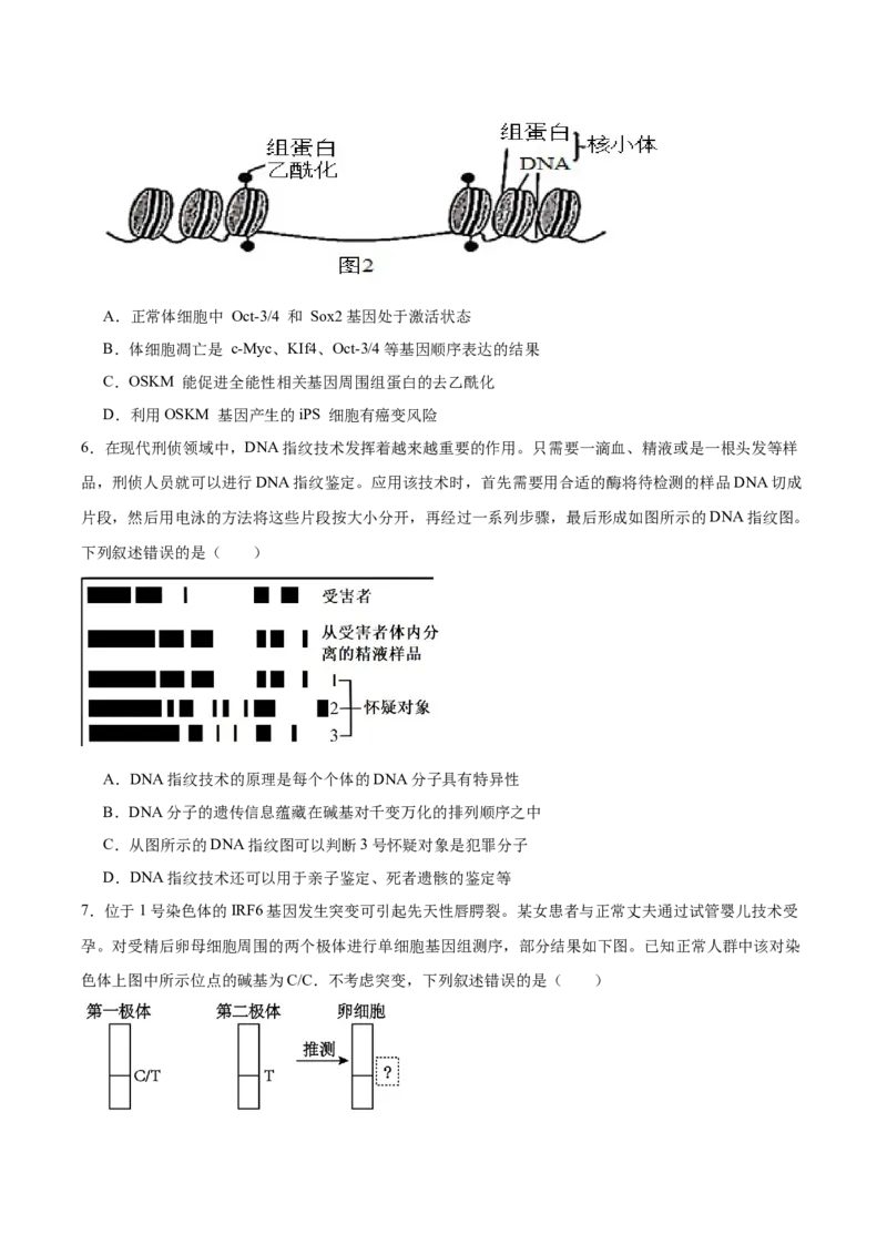 福建省泉州第一中学2026届高三上学期10月第二次月考生物试卷（含答案）_251106福建省泉州第一中学2026届高三上学期10月第二次月考