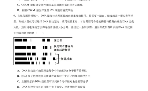 福建省泉州第一中学2026届高三上学期10月第二次月考生物试卷（含答案）_251106福建省泉州第一中学2026届高三上学期10月第二次月考