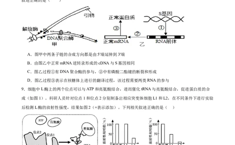 福建省泉州第一中学2026届高三上学期10月第二次月考生物试卷（含答案）_251106福建省泉州第一中学2026届高三上学期10月第二次月考