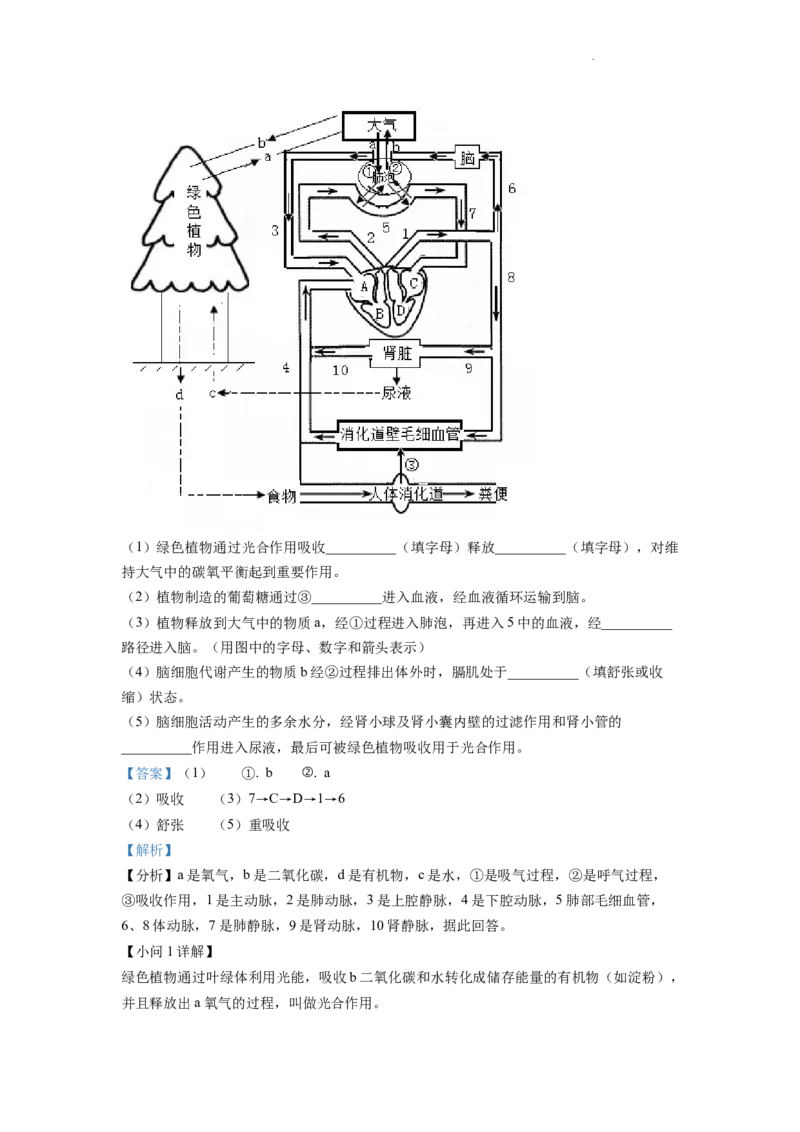 精品解析：2022年四川省南充市中考生物真题（解析版）_中考真题_8.生物中考真题2015-2024年_2022年全国中考生物114份14