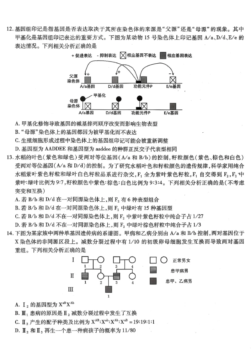 南开中学高2026届高三第三次质量检测生物_251109重庆市南开中学高2026届高三第三次质量检测（全科）