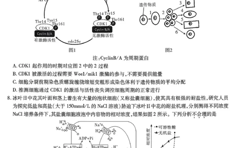 南开中学高2026届高三第三次质量检测生物_251109重庆市南开中学高2026届高三第三次质量检测（全科）