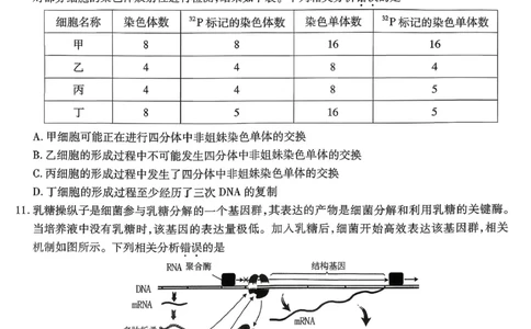 南开中学高2026届高三第三次质量检测生物_251109重庆市南开中学高2026届高三第三次质量检测（全科）