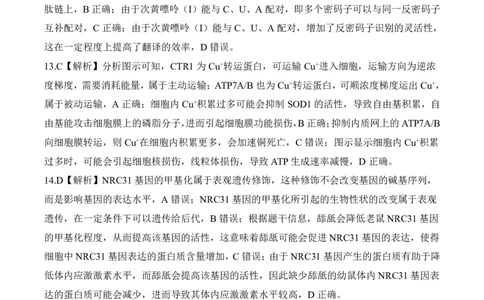 四川省百师联盟2026届高三年级11月阶段检测生物答案_251115四川省百师联盟2026届高三年级11月阶段检测（全科）
