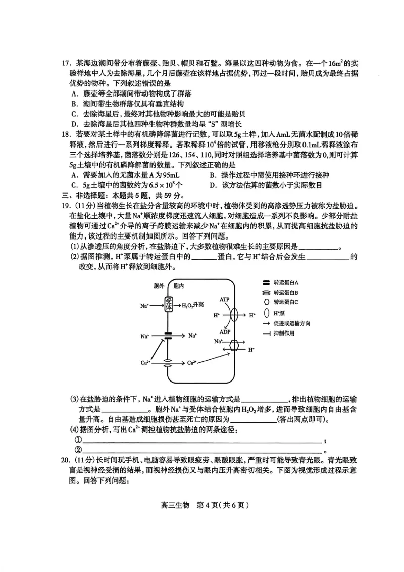 河北省石家庄市2026届高三上学期11月教学质量摸底检测生物试卷（含答案）_251116河北省石家庄市2026届高三上学期11月教学质量摸底检测（全科）
