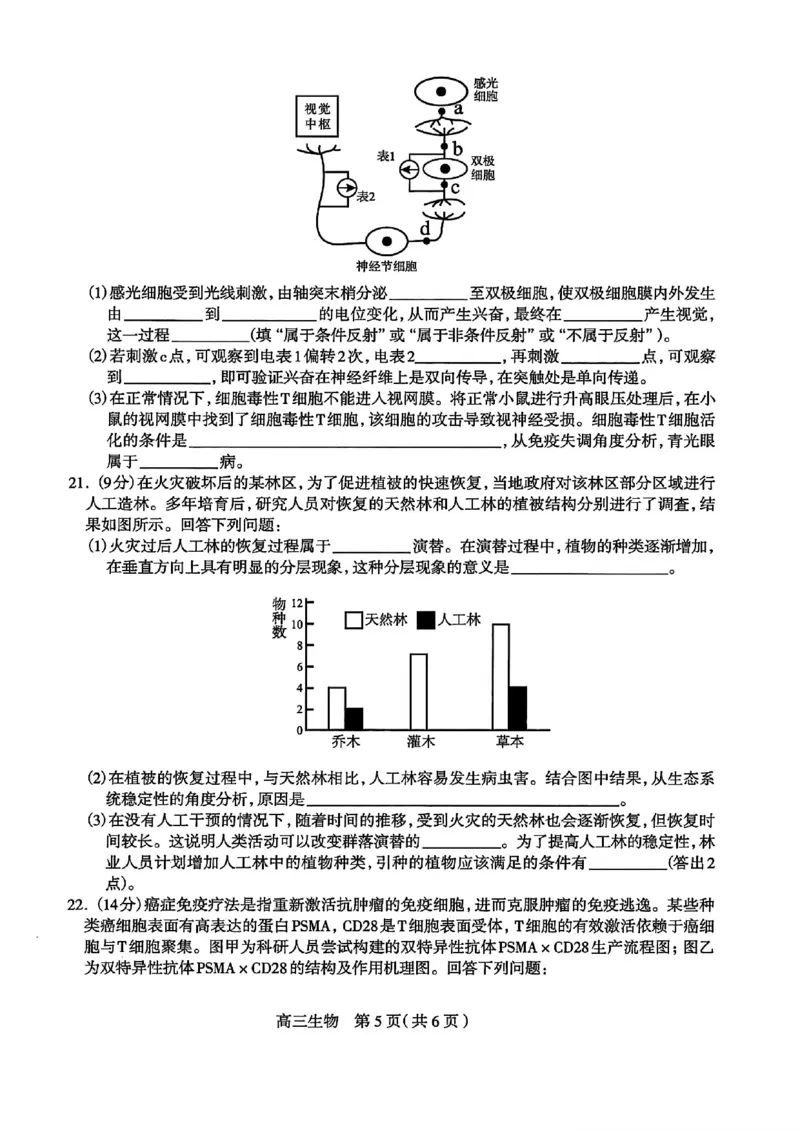河北省石家庄市2026届高三上学期11月教学质量摸底检测生物试卷（含答案）_251116河北省石家庄市2026届高三上学期11月教学质量摸底检测（全科）