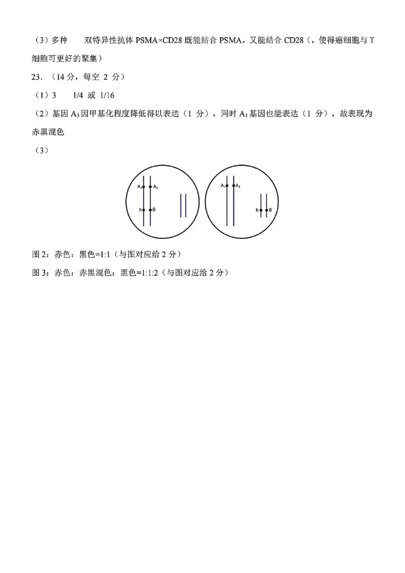 河北省石家庄市2026届高三上学期11月教学质量摸底检测生物试卷（含答案）_251116河北省石家庄市2026届高三上学期11月教学质量摸底检测（全科）