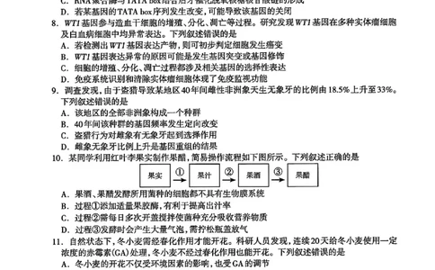河北省石家庄市2026届高三上学期11月教学质量摸底检测生物试卷（含答案）_251116河北省石家庄市2026届高三上学期11月教学质量摸底检测（全科）