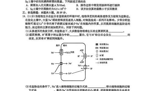 河北省石家庄市2026届高三上学期11月教学质量摸底检测生物试卷（含答案）_251116河北省石家庄市2026届高三上学期11月教学质量摸底检测（全科）