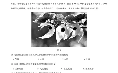 恩施高中、夷陵中学、郧阳中学2025届高三确定卷地理_2025年6月_250601湖北省（恩施高中、夷陵中学、郧阳中学）2025届高三确定卷（全科）