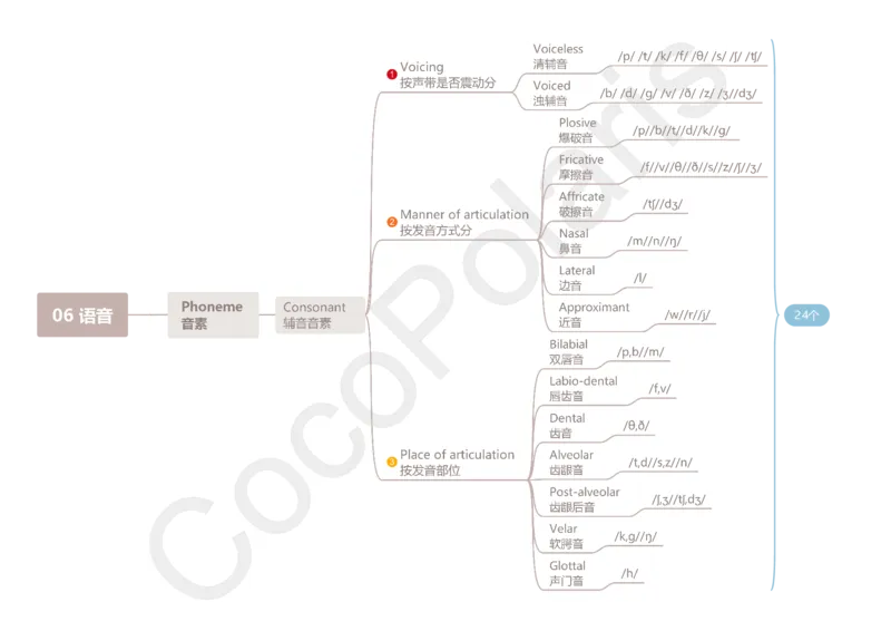整合版CocoPolarisのB站课堂科三英语思维导图_4-教培资料-26年最新资料-同步更新_科一科二电子资料合集中小幼（笔记真题知识点汇总等）文件多，按需保存_02coco合集