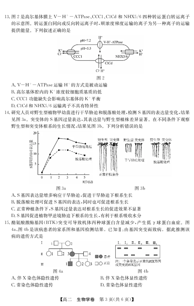 5466B生物学_2025年7月_250705广东省清远市2024-2025学年第二学期高二期末教学质检（金太阳5466B）（全科）_生物