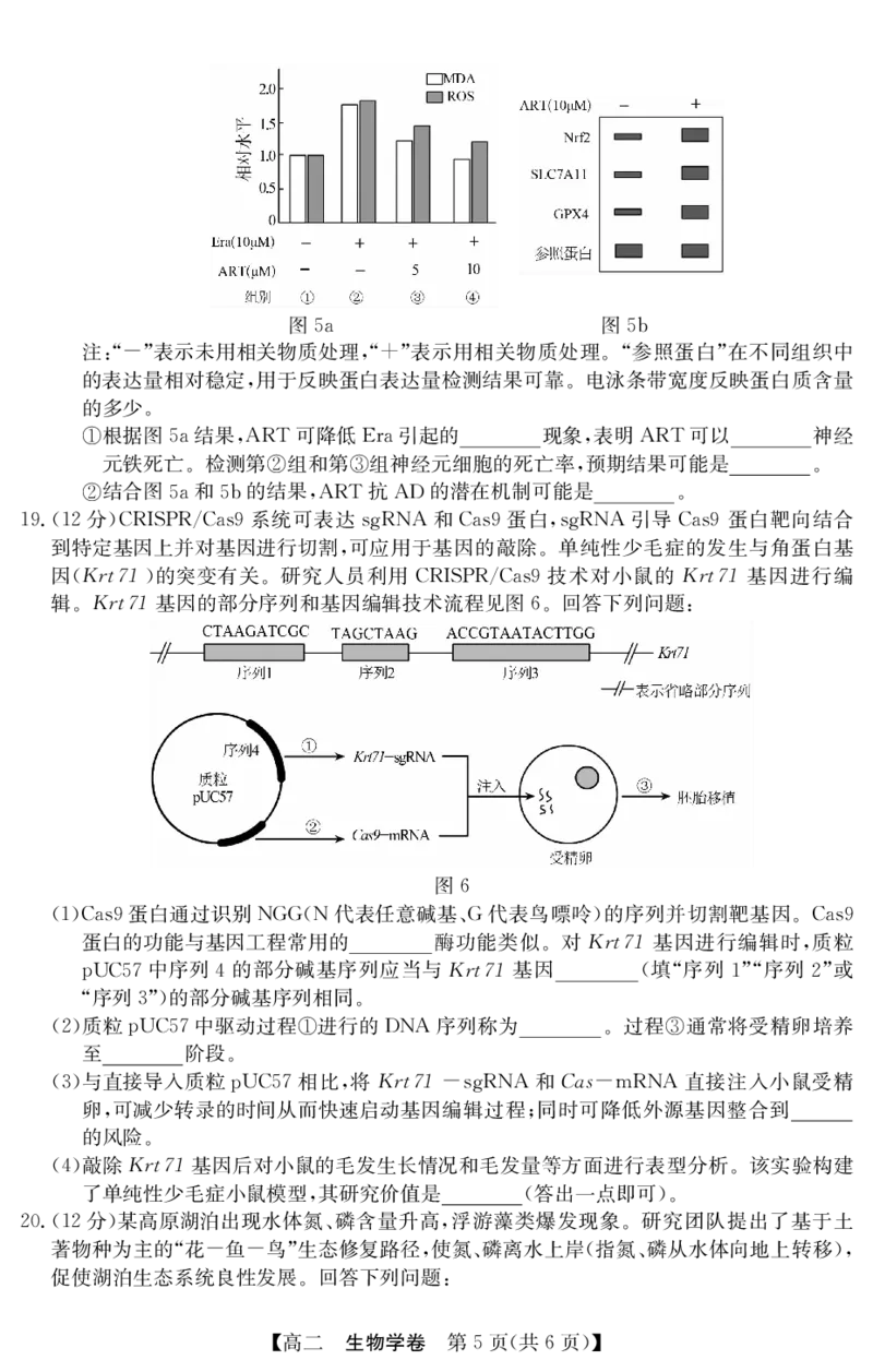 5466B生物学_2025年7月_250705广东省清远市2024-2025学年第二学期高二期末教学质检（金太阳5466B）（全科）_生物