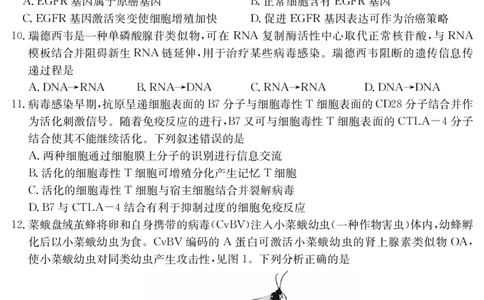 5466B生物学_2025年7月_250705广东省清远市2024-2025学年第二学期高二期末教学质检（金太阳5466B）（全科）_生物