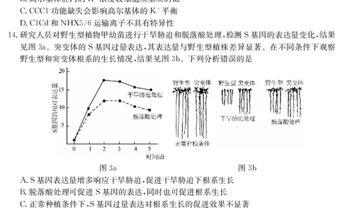 5466B生物学_2025年7月_250705广东省清远市2024-2025学年第二学期高二期末教学质检（金太阳5466B）（全科）_生物