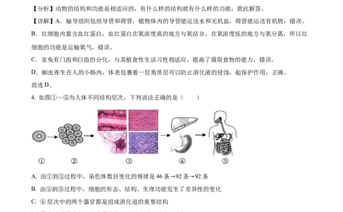 精品解析：2022年内蒙古通辽市中考生物真题（解析版）_中考真题_8.生物中考真题2015-2024年_2022年全国中考生物114份14