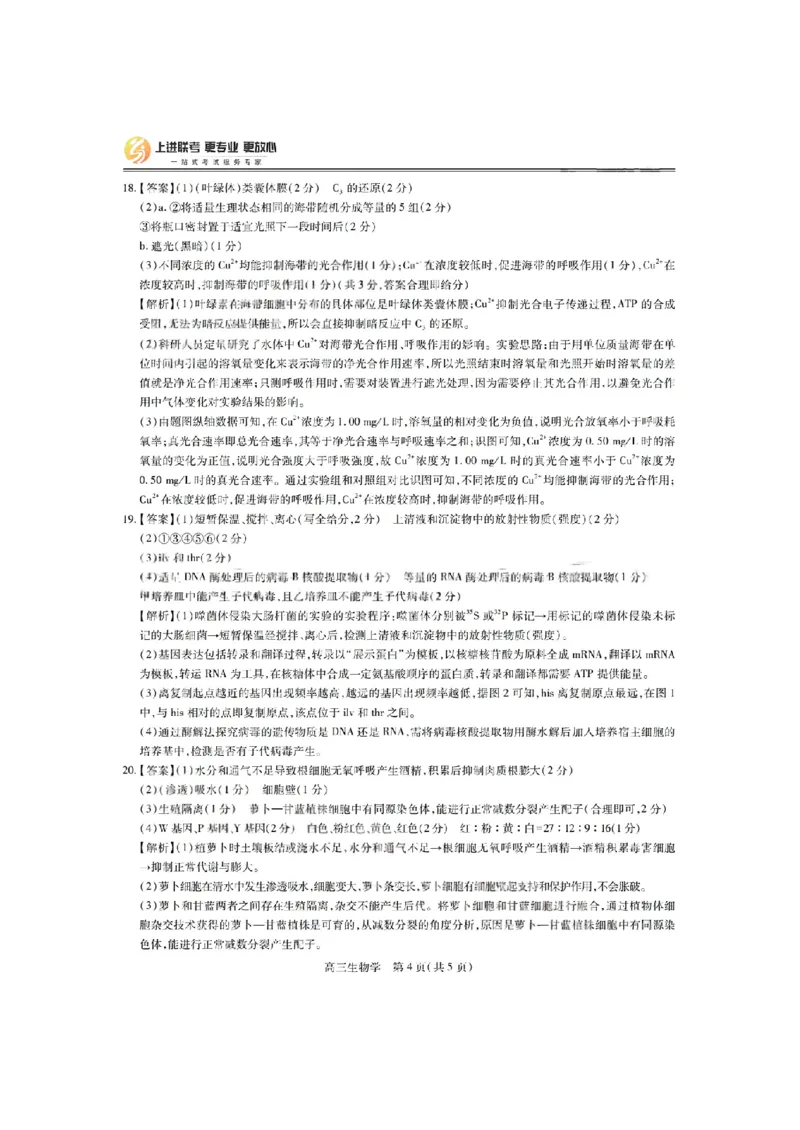 生物答案-江西省2026届上进稳派联考高三11月一轮复习阶段检测_251114江西省2026届上进稳派联考高三11月一轮复习阶段检测（全科）