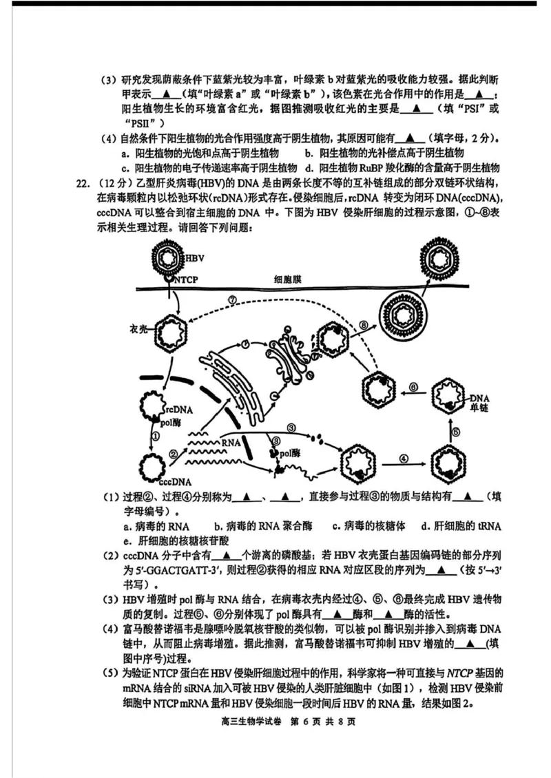 无锡市2025年秋学期高三期中教学质量调研测试生物_251108江苏省无锡市2025年秋学期高三期中教学质量调研测试（全科）_江苏省无锡市2025-2026学年高三上学期期中教学质量调研测试生物