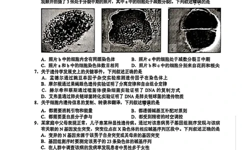 无锡市2025年秋学期高三期中教学质量调研测试生物_251108江苏省无锡市2025年秋学期高三期中教学质量调研测试（全科）_江苏省无锡市2025-2026学年高三上学期期中教学质量调研测试生物