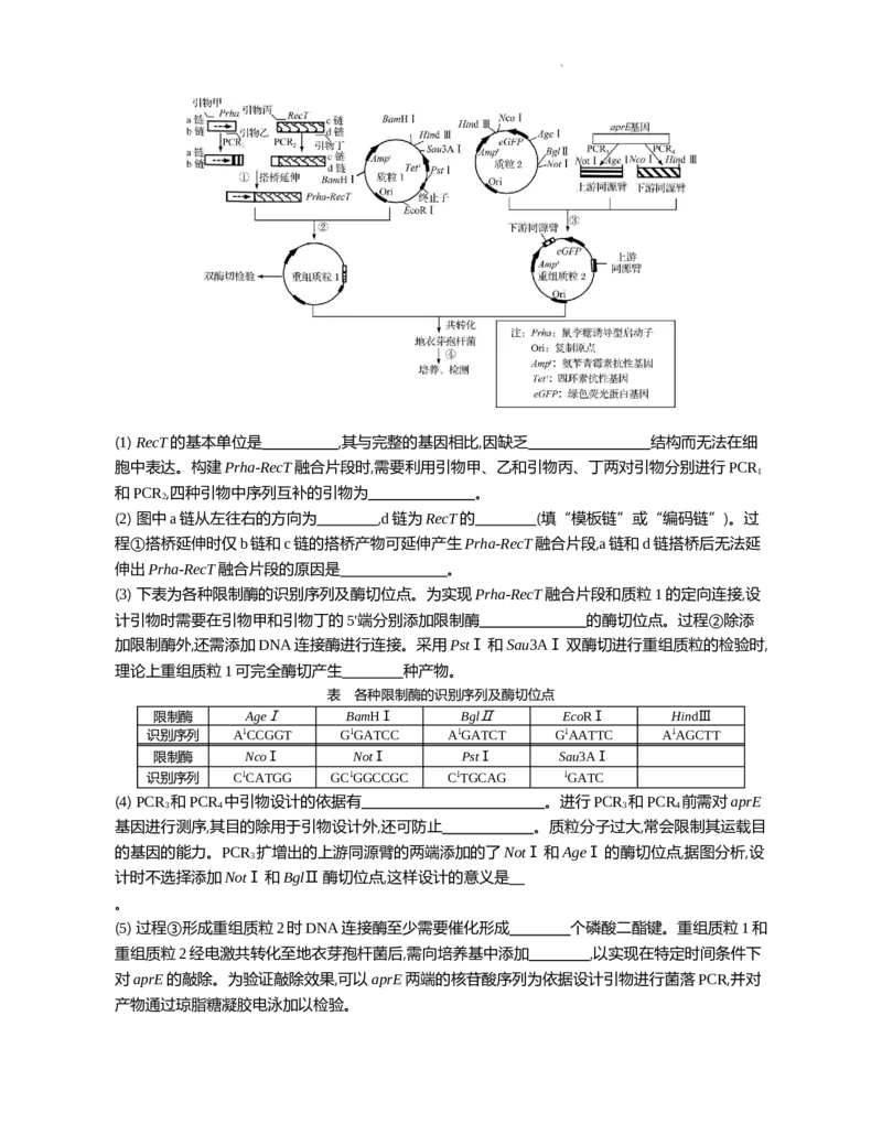 江苏省部分高中2024-2025学年高二下学期期末迎考生物试题_2025年6月_250618江苏省部分高中2024-2025学年高二下学期期末迎考（全科）