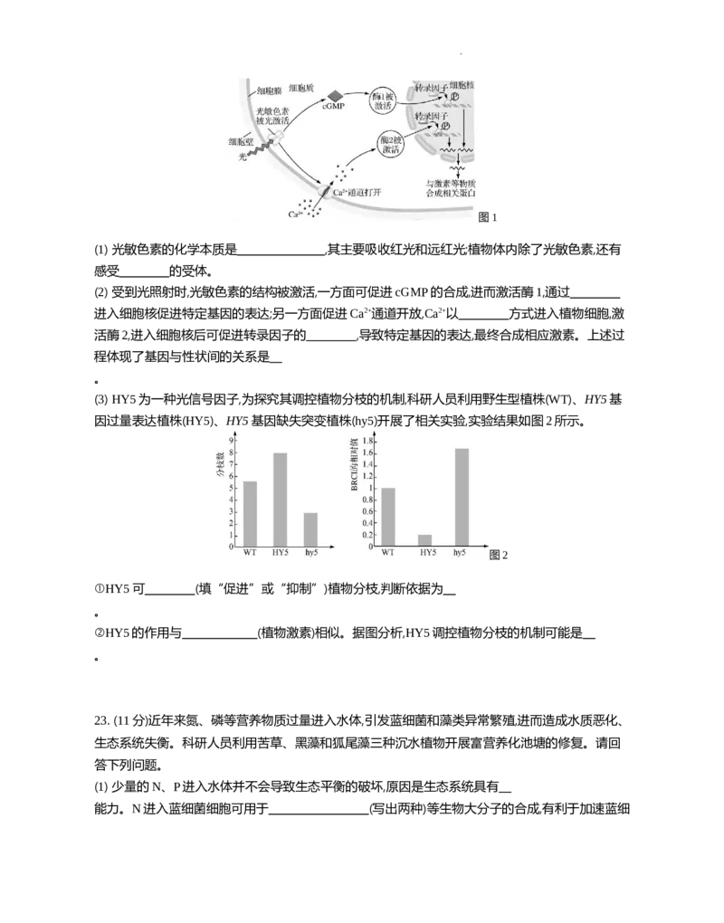 江苏省部分高中2024-2025学年高二下学期期末迎考生物试题_2025年6月_250618江苏省部分高中2024-2025学年高二下学期期末迎考（全科）