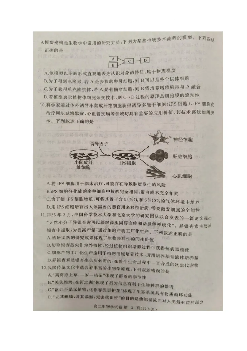 湖北省黄冈市2024-2025学年高二下学期期末质量监测生物试卷（含答案）_2025年7月_250704湖北省黄冈市2024-2025学年高二下学期期末质量监测（全科）