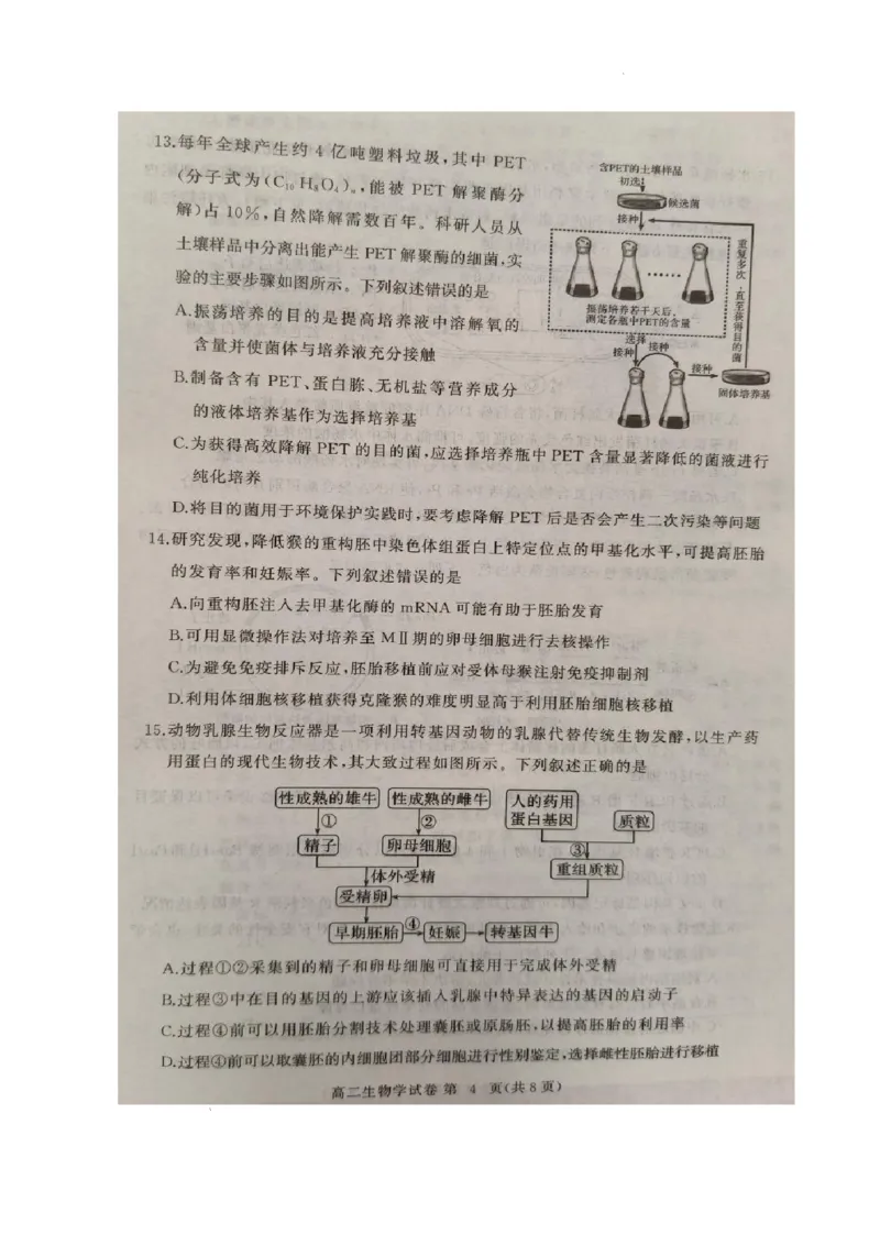 湖北省黄冈市2024-2025学年高二下学期期末质量监测生物试卷（含答案）_2025年7月_250704湖北省黄冈市2024-2025学年高二下学期期末质量监测（全科）