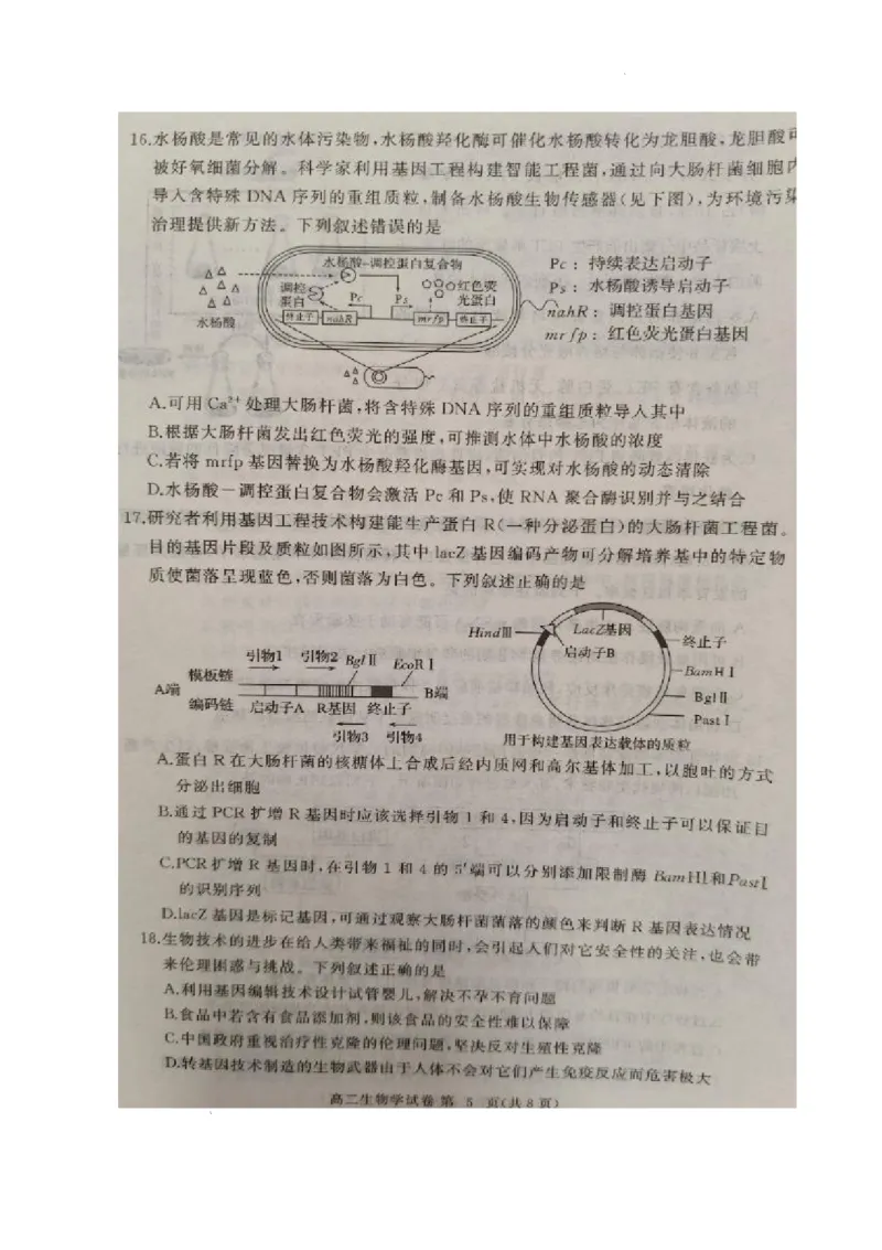 湖北省黄冈市2024-2025学年高二下学期期末质量监测生物试卷（含答案）_2025年7月_250704湖北省黄冈市2024-2025学年高二下学期期末质量监测（全科）