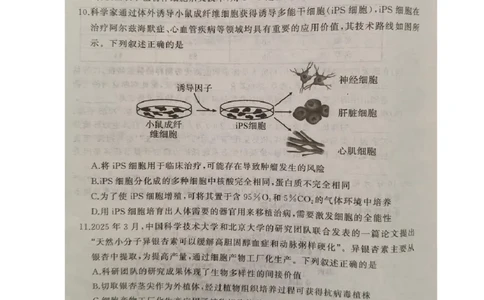 湖北省黄冈市2024-2025学年高二下学期期末质量监测生物试卷（含答案）_2025年7月_250704湖北省黄冈市2024-2025学年高二下学期期末质量监测（全科）