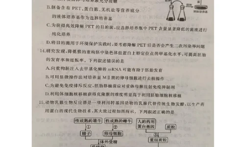 湖北省黄冈市2024-2025学年高二下学期期末质量监测生物试卷（含答案）_2025年7月_250704湖北省黄冈市2024-2025学年高二下学期期末质量监测（全科）