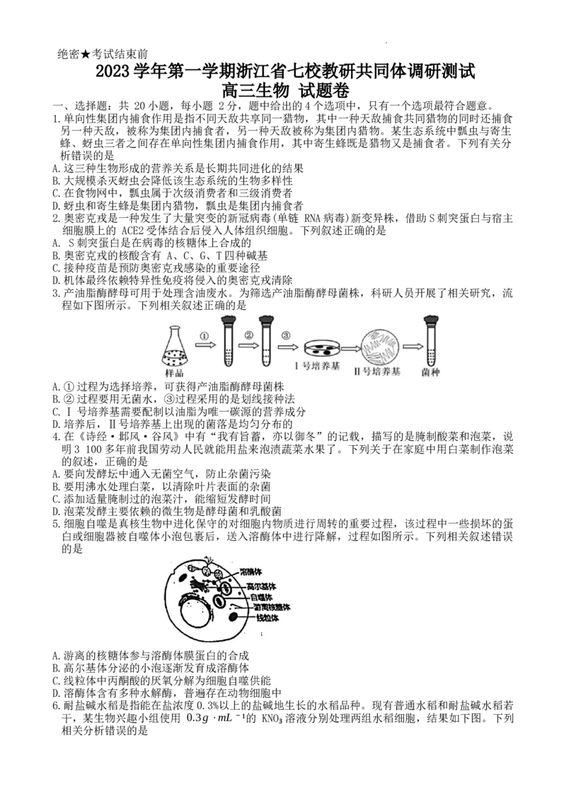 2023学年第一学期浙江省七校教研共同体调研测试-生物试题卷_2024届浙江省教改共同体高三上学期1月联考_浙江省教改共同体2024届高三上学期1月联考生物