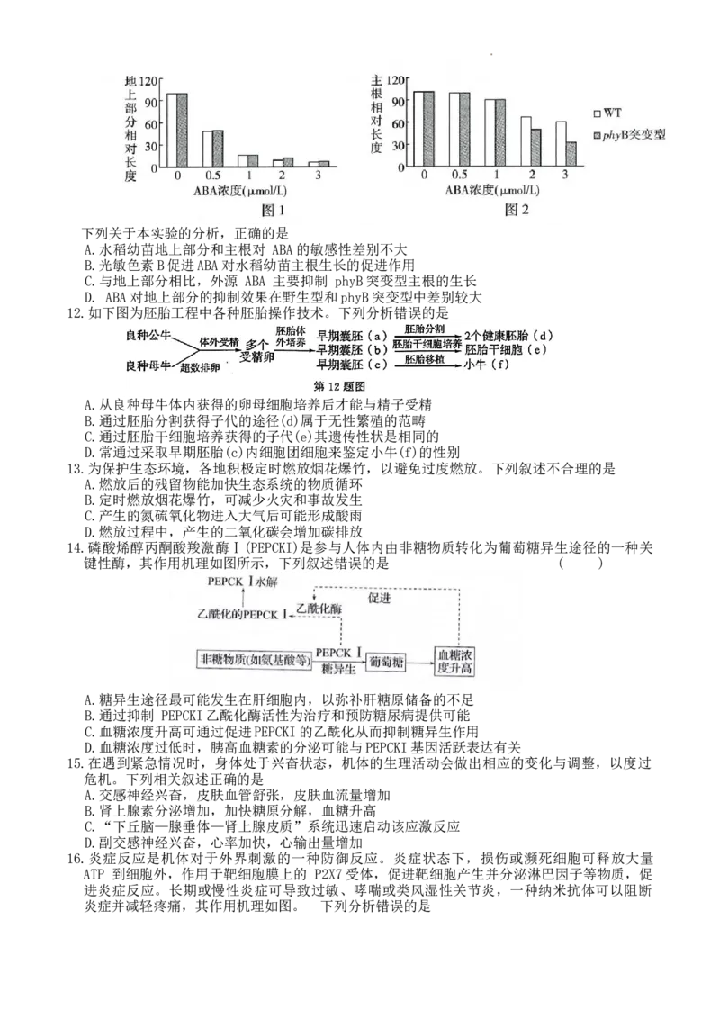 2023学年第一学期浙江省七校教研共同体调研测试-生物试题卷_2024届浙江省教改共同体高三上学期1月联考_浙江省教改共同体2024届高三上学期1月联考生物