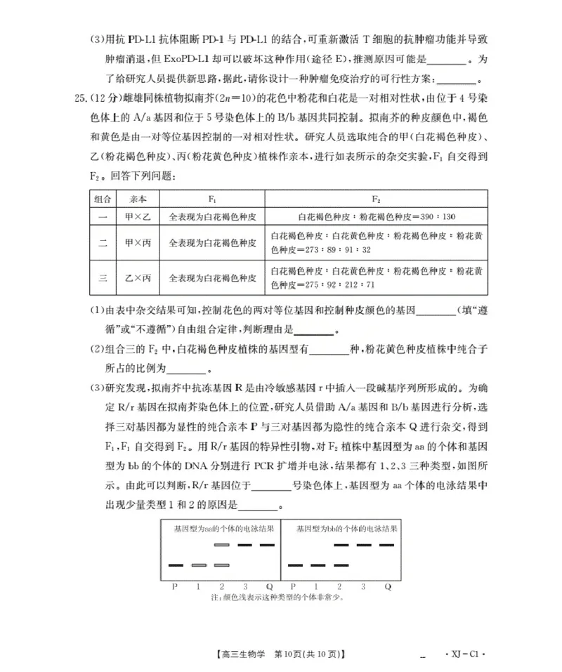 新疆多校2026届高三上学期11月联考（XJ）生物_2025年12月_251213新疆金太阳2026届高三上学期11月联考（XJ）（全科）