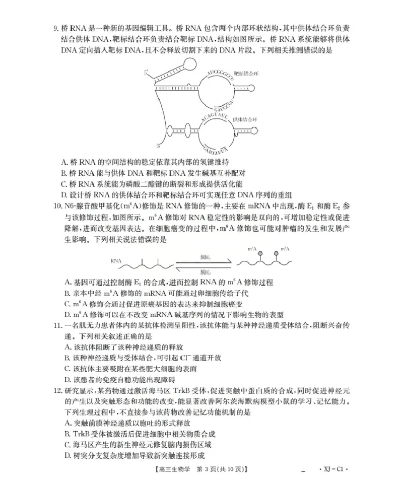 新疆多校2026届高三上学期11月联考（XJ）生物_2025年12月_251213新疆金太阳2026届高三上学期11月联考（XJ）（全科）