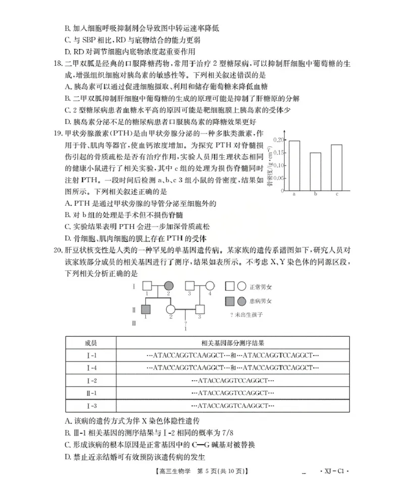 新疆多校2026届高三上学期11月联考（XJ）生物_2025年12月_251213新疆金太阳2026届高三上学期11月联考（XJ）（全科）