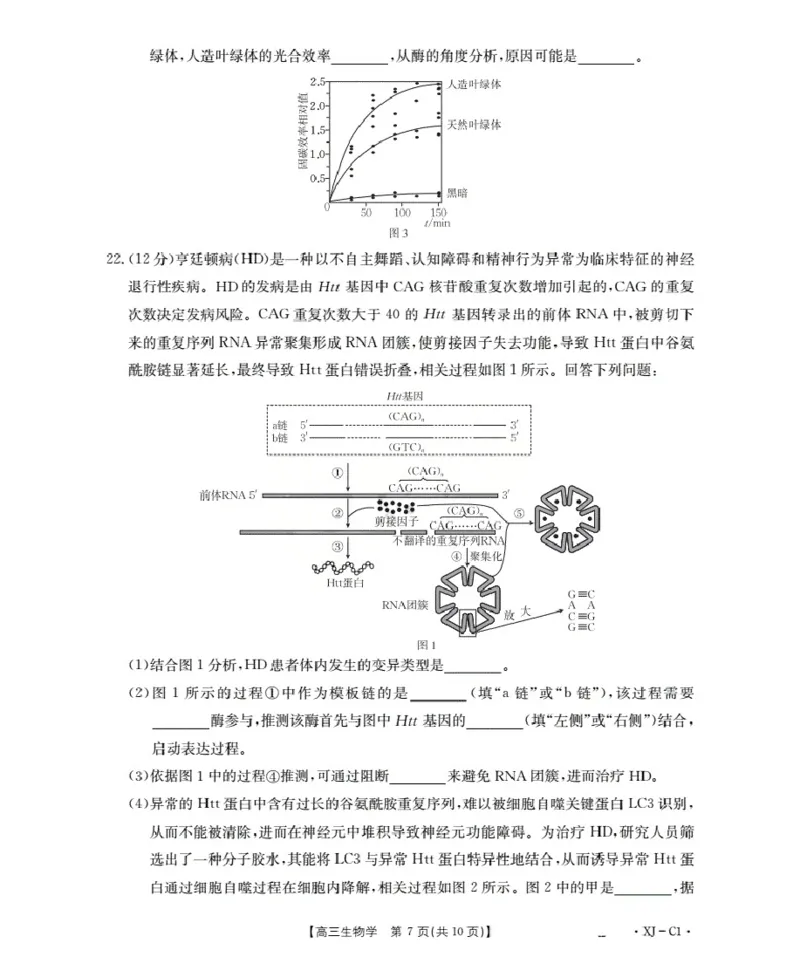 新疆多校2026届高三上学期11月联考（XJ）生物_2025年12月_251213新疆金太阳2026届高三上学期11月联考（XJ）（全科）