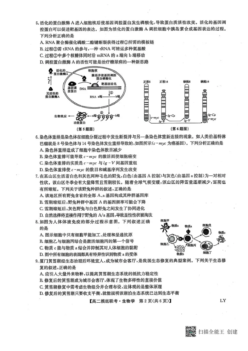 九师联盟2024-2025学年高二下学期6月摸底联考生物试题（含答案）_2025年6月_250613九师联盟2024-2025学年高二下学期6月摸底联考（全科）(1)