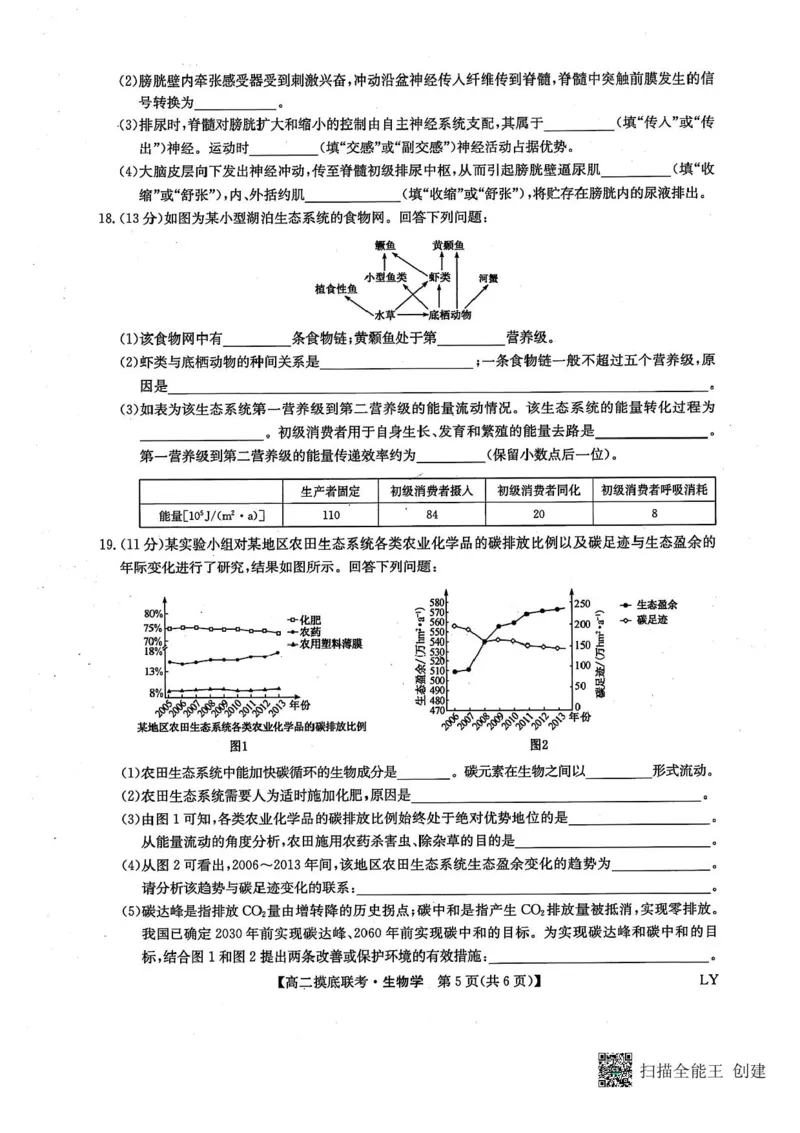 九师联盟2024-2025学年高二下学期6月摸底联考生物试题（含答案）_2025年6月_250613九师联盟2024-2025学年高二下学期6月摸底联考（全科）(1)