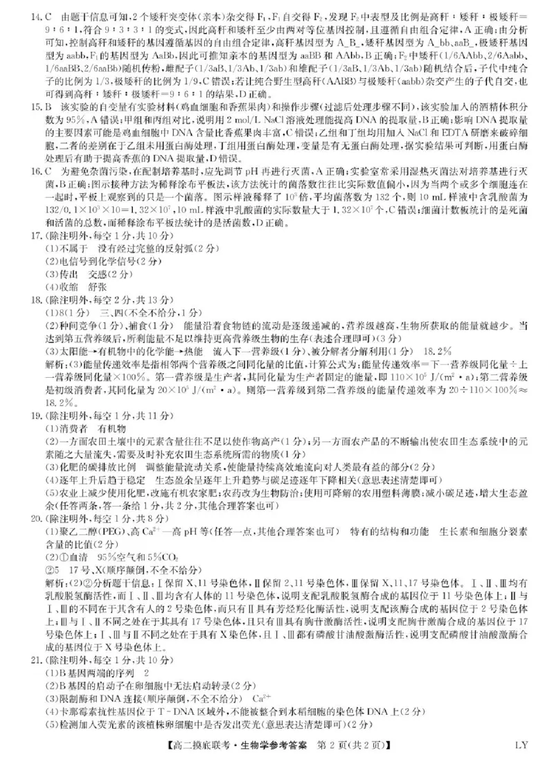 九师联盟2024-2025学年高二下学期6月摸底联考生物试题（含答案）_2025年6月_250613九师联盟2024-2025学年高二下学期6月摸底联考（全科）(1)