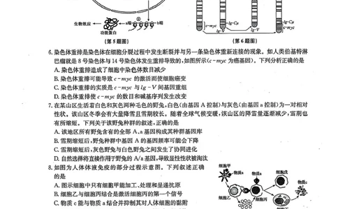 九师联盟2024-2025学年高二下学期6月摸底联考生物试题（含答案）_2025年6月_250613九师联盟2024-2025学年高二下学期6月摸底联考（全科）(1)