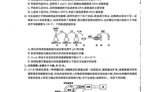 九师联盟2024-2025学年高二下学期6月摸底联考生物试题（含答案）_2025年6月_250613九师联盟2024-2025学年高二下学期6月摸底联考（全科）(1)