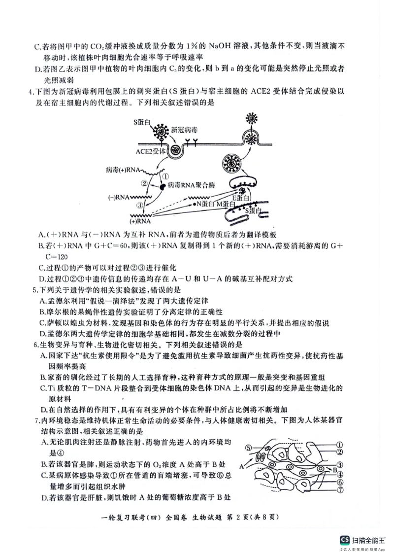 生物试题_2024届百师联盟高三上学期一轮复习联考(四)全国卷_百师联盟2024届高三上学期一轮复习联考(四)全国卷生物