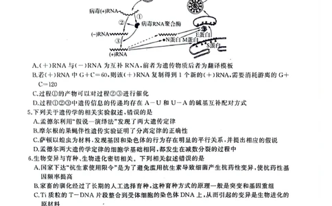 生物试题_2024届百师联盟高三上学期一轮复习联考(四)全国卷_百师联盟2024届高三上学期一轮复习联考(四)全国卷生物